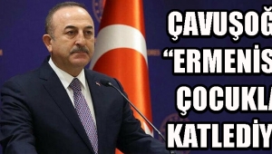 Çavuşoğlu: 