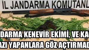  JANDARMA KENEVİR EKİMİ, VE KAÇAK KAZI YAPANLARA GÖZ AÇTIRMADI !