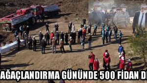 MİLLİ AĞAÇLANDIRMA GÜNÜNDE 500 FİDAN DİKİLDİ!