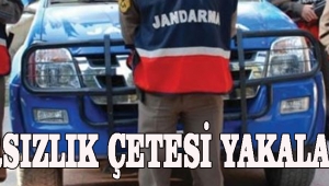 HIRSIZLIK ÇETESİ YAKALANDI!