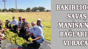  Bakırlıoğlu Savaş Manisa’nın Bağlarını Vuracak