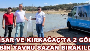 Akhisar ve Kırkağaç’ta 2 Gölete 4 Bin Yavru Sazan Bırakıldı !