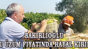 Bakırlıoğlu Kuru Üzüm Fiyatında Hayal Kırıklığı