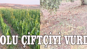 DOLU ÇİFTÇİYİ VURDU