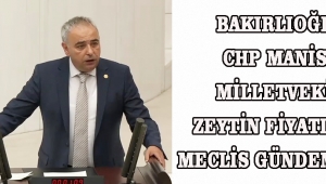 BAKIRLIOĞLU CHP MANİSA MİLLETVEKİLİ Zeytin Fiyatları Meclis Gündeminde
