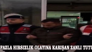 BİRDEN FAZLA HIRSIZLIK OLAYINA KARIŞAN ZANLI TUTUKLANDI