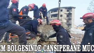 Deprem Bölgesinde Cansiperane Mücadele