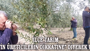 İLÇE TARIM “ZEYTİN ÜRETİCİLERİN DİKKATİNE” DİYEREK UYARDI