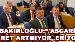 Bakırloğlu: