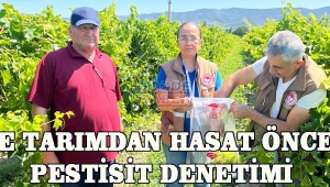İlçe Tarımdan Hasat Öncesi Pestisit Denetimi