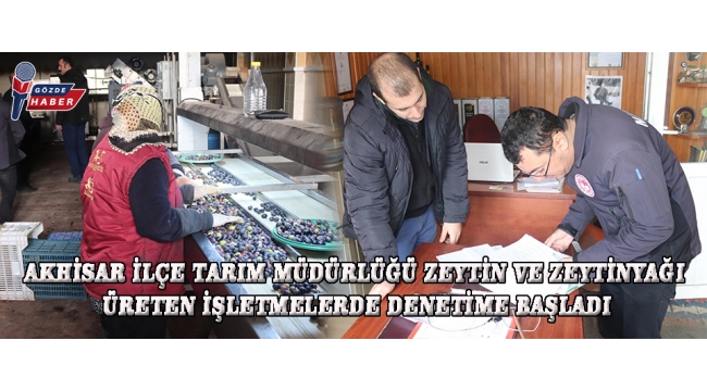 Akhisar İlçe Tarım Müdürlüğü Zeytin ve Zeytinyağı Üreten İşletmelerde denetime başladı