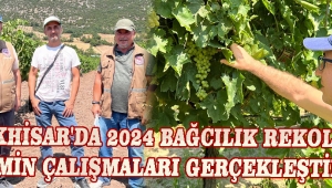 Akhisar'da 2024 Bağcılık Rekolte Tahmin Çalışmaları Gerçekleştirildi