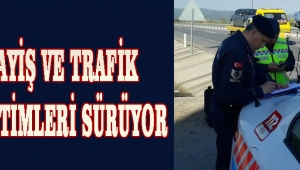 ASAYİŞ VE TRAFİK DENETİMLERİ SÜRÜYOR