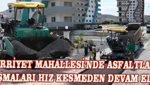 Hürriyet Mahallesi'nde Asfaltlama Çalışmaları Hız Kesmeden Devam Ediyor
