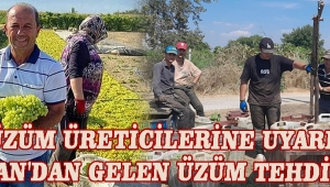 Üzüm Üreticilerine Uyarı: İran'dan Gelen Üzüm Tehdidi