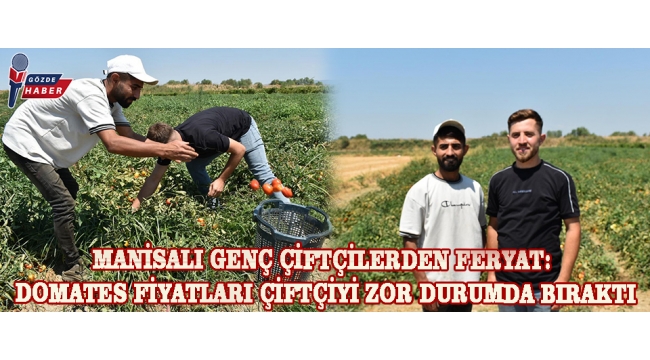 Manisalı Genç Çiftçilerden Feryat: Domates Fiyatları Çiftçiyi Zor Durumda Bıraktı
