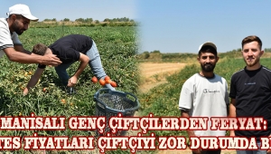 Manisalı Genç Çiftçilerden Feryat: Domates Fiyatları Çiftçiyi Zor Durumda Bıraktı