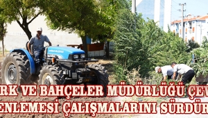 Park ve Bahçeler Müdürlüğü Çevre Düzenlemesi Çalışmalarını Sürdürüyor