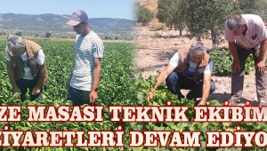 Sebze Masası Teknik Ekibi, Akselendi ve Selçikli Mahallelerini Ziyaret Etti