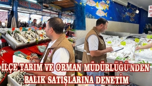 İLÇE TARIM VE ORMAN MÜDÜRLÜĞÜ'NDEN BALIK SATIŞLARINA DENETİM