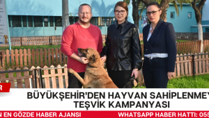 Büyükşehir’den hayvan sahiplenmeye teşvik kampanyası