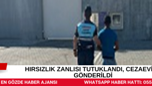 Hırsızlık Zanlısı Tutuklandı, Cezaevine Gönderildi