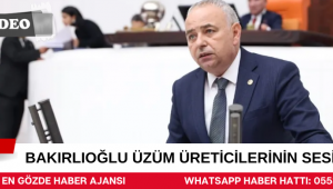 Bakırlıoğlu üzüm üreticilerinin sesi oldu: