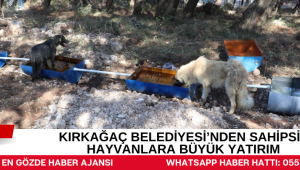 KIRKAĞAÇ BELEDİYESİ’NDEN SAHİPSİZ HAYVANLARA BÜYÜK YATIRIM