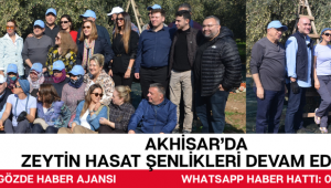 AKHİSAR’DA ZEYTİN HASAT ŞENLİKLERİ DEVAM EDİYOR.