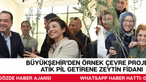 Büyükşehir'den Örnek Çevre Projesi: Atık Pil Getirene Zeytin Fidanı