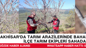 Akhisar'da Tarım Arazilerinde Bahar Mesaisi: İlçe Tarım Ekipleri Sahada