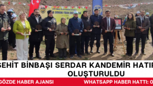 ŞEHİT BİNBAŞI SERDAR KANDEMİR HATIRA ORMANI OLUŞTURULDU