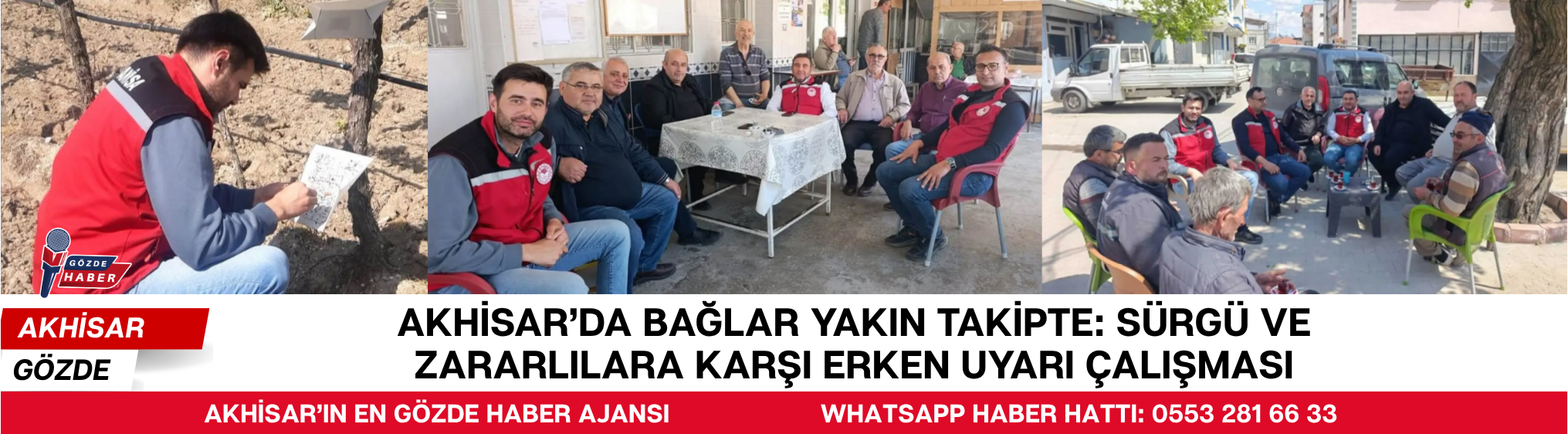 AKHİSAR'DA BAĞLAR YAKIN TAKİPTE: SÜRGÜ VE ZARARLILARA KARŞI ERKEN UYARI ÇALIŞMASI