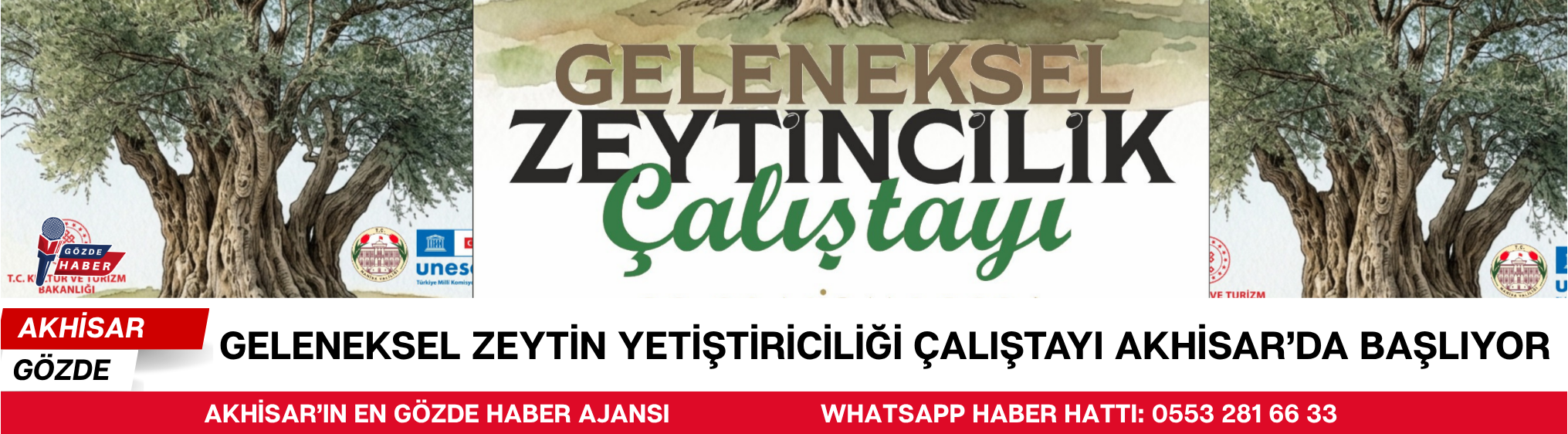 Geleneksel Zeytin Yetiştiriciliği Çalıştayı Akhisar’da Başlıyor