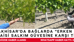 Akhisar'da Bağlarda 