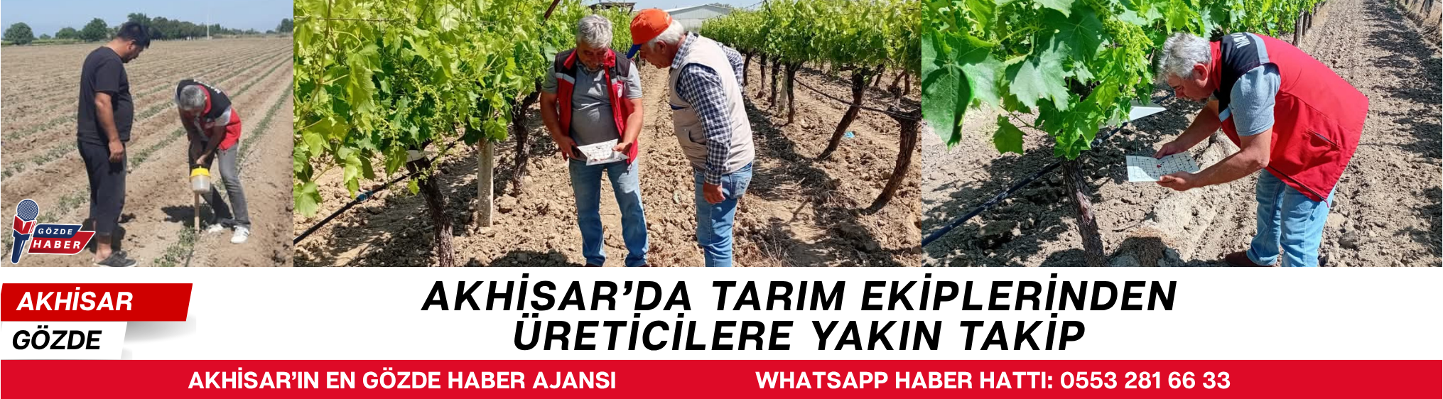 Akhisar’da Tarım Ekiplerinden Üreticilere Yakın Takip