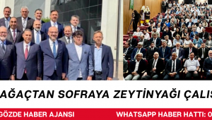 Asırlık Ağaçtan Sofraya: Zeytinyağı Çalıştayı Düzenlendi
