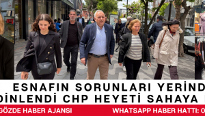 Esnafın Sorunları Yerinde Dinlendi CHP Heyeti Sahaya İndi
