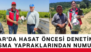 Akhisar’da Hasat Öncesi Denetimler Sürüyor: Asma Yapraklarından Numune Alındı