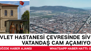 Eski Devlet Hastanesi Çevresinde Sivrisinek İstilası: Vatandaş Cam Açamıyor