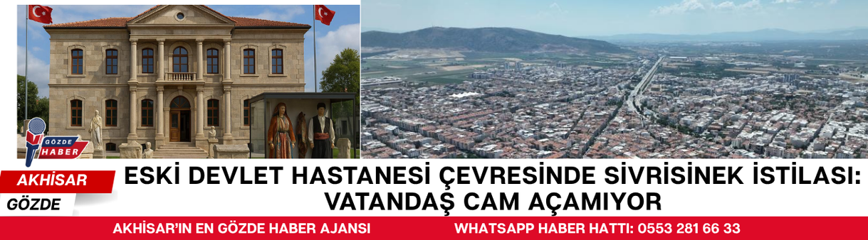Eski Devlet Hastanesi Çevresinde Sivrisinek İstilası: Vatandaş Cam Açamıyor