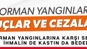 Orman Yangınlarına Karşı Sert Uyarı: İhmalin de Kastın da Bedeli Ağır!