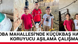 SAZOBA MAHALLESİ’NDE KÜÇÜKBAŞ HAYVANLARA KORUYUCU AŞILAMA ÇALIŞMASI