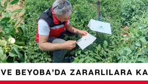 Sazoba ve Beyoba’da Zararlılara Karşı Yakın Takip