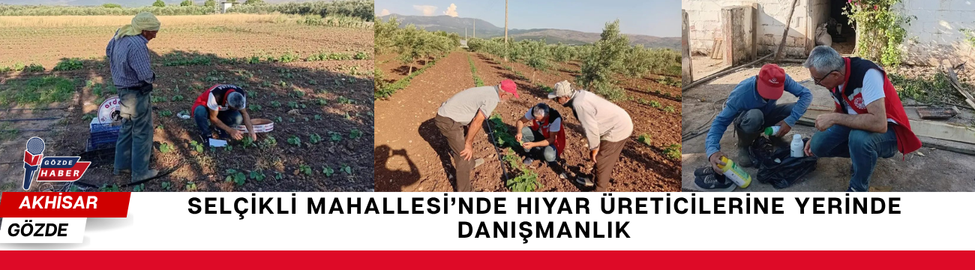 Selçikli Mahallesi’nde Hıyar Üreticilerine Yerinde Danışmanlık