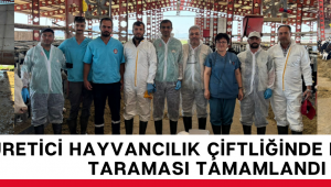 Üretici Hayvancılık Çiftliğinde Hastalık Taraması Tamamlandı