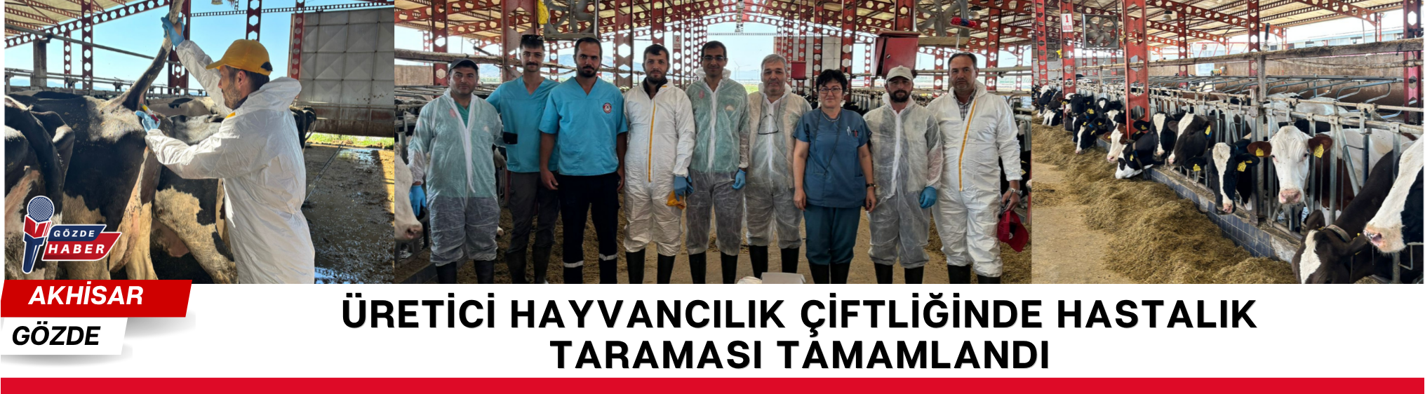 Üretici Hayvancılık Çiftliğinde Hastalık Taraması Tamamlandı