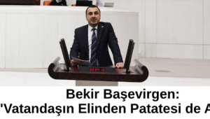 Bekir Başevirgen: