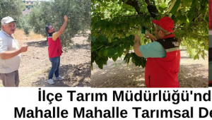 İlçe Tarım Müdürlüğü'nden Mahalle Mahalle Tarımsal Denetim