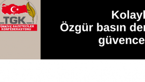 Kolaylı: Özgür basın demokrasinin güvencesidir